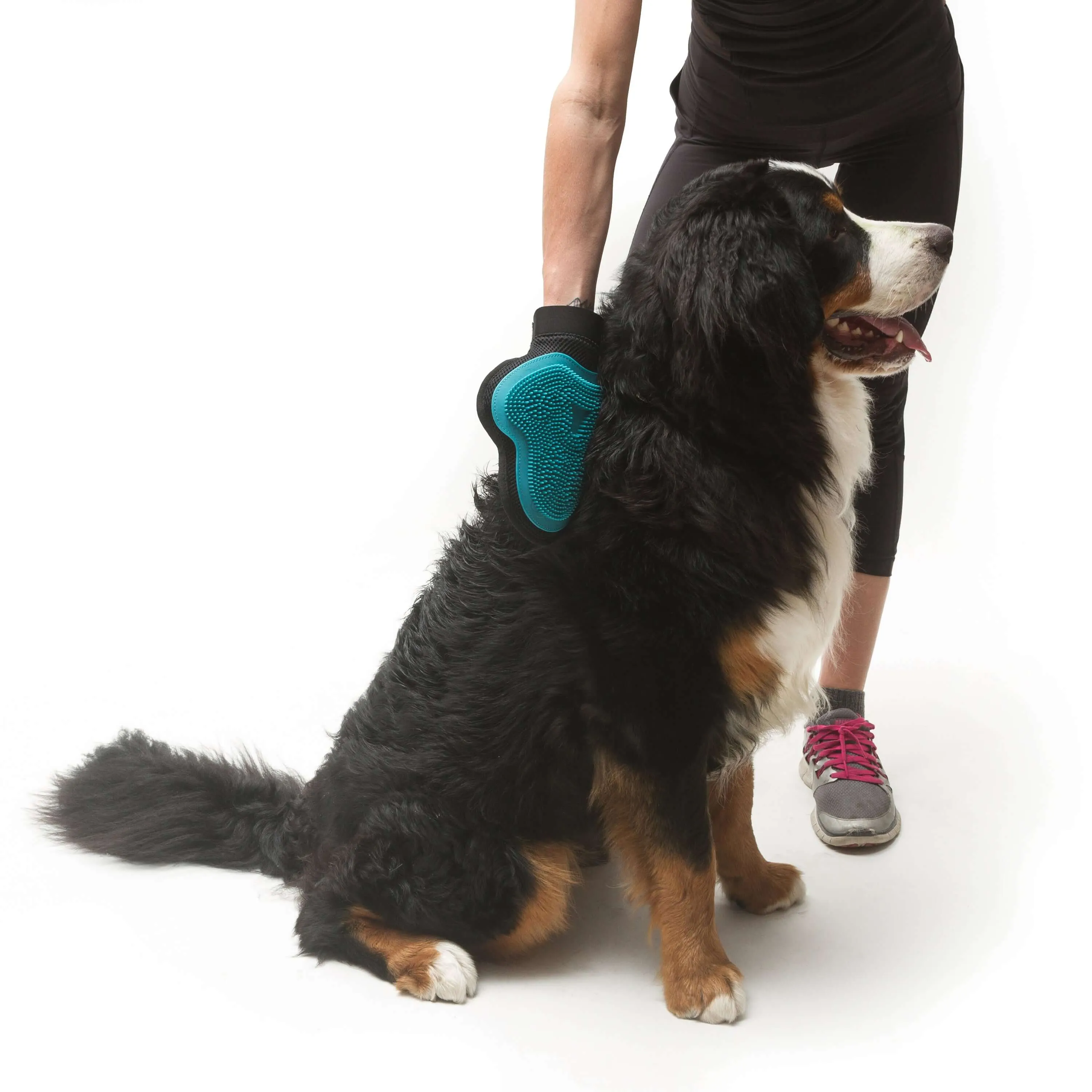 Reversible Silicone Pet Grooming Glove- Cat or Dog