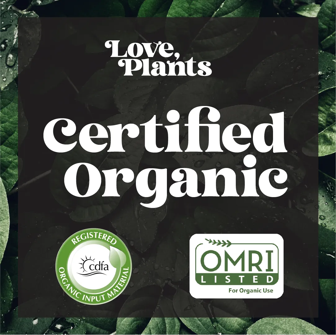 Tropical Houseplant Care Kit